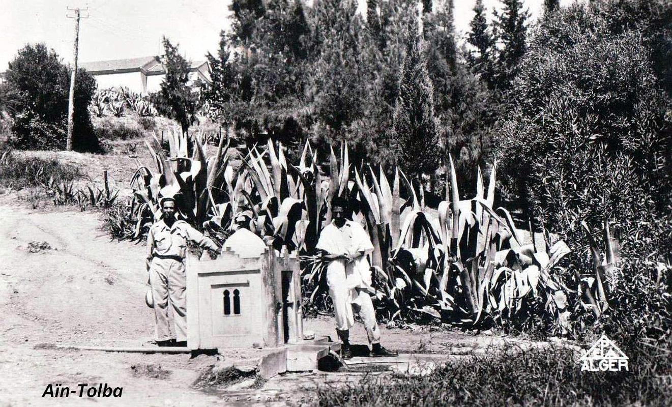Puits typiques d'AFN - 116.jpg